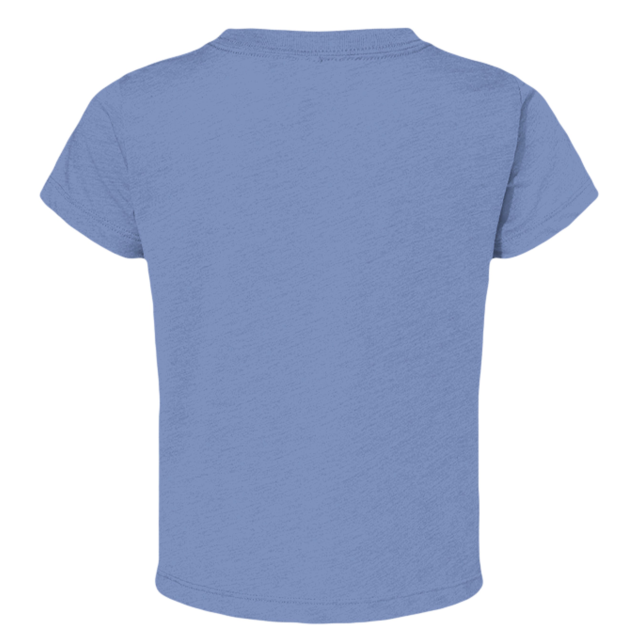 BLUE TRIBLEND - BACK
