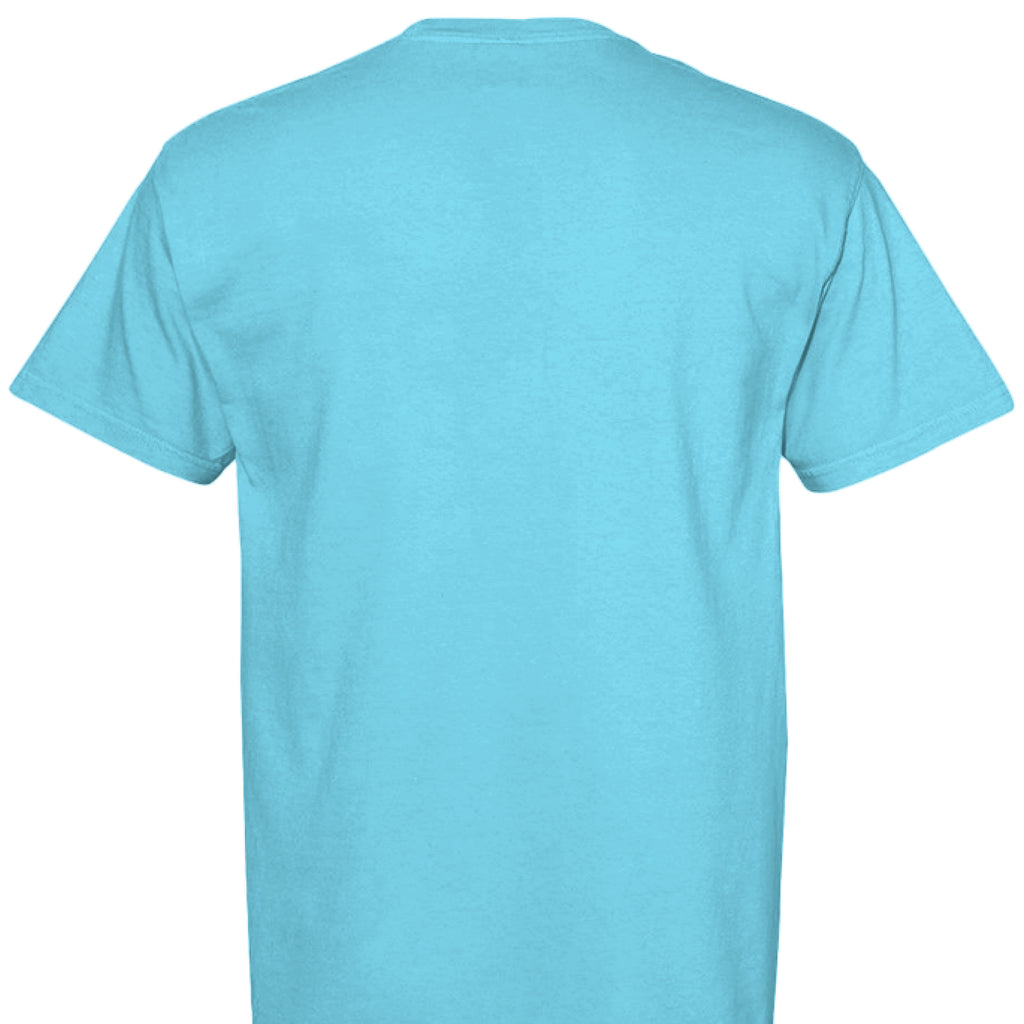 LAGOON BLUE - BACK
