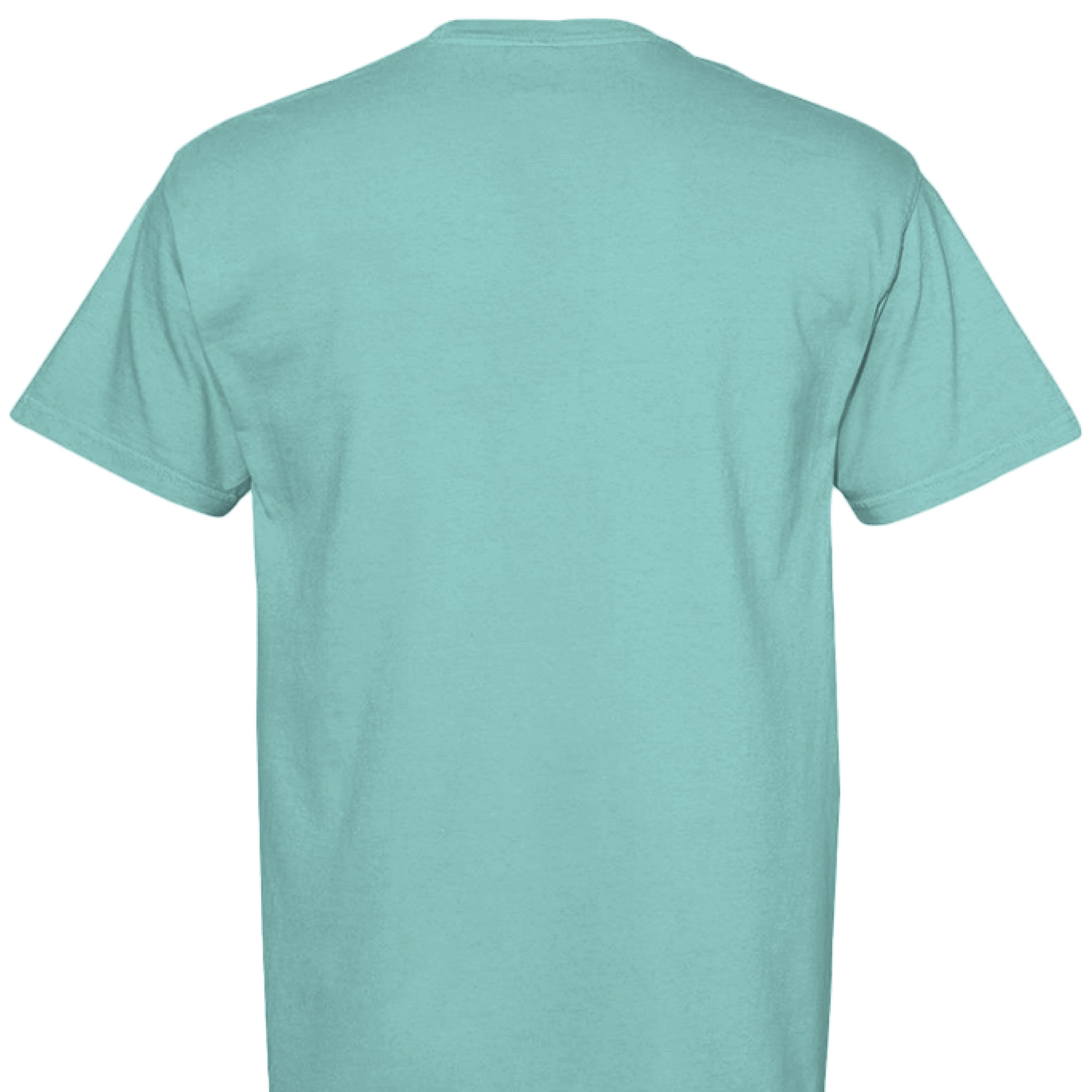 CHALKY MINT - BACK